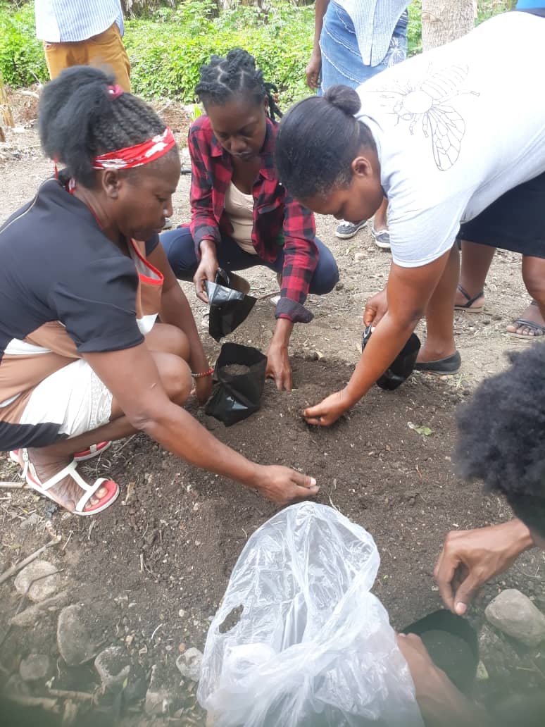 Group of women planting seeds