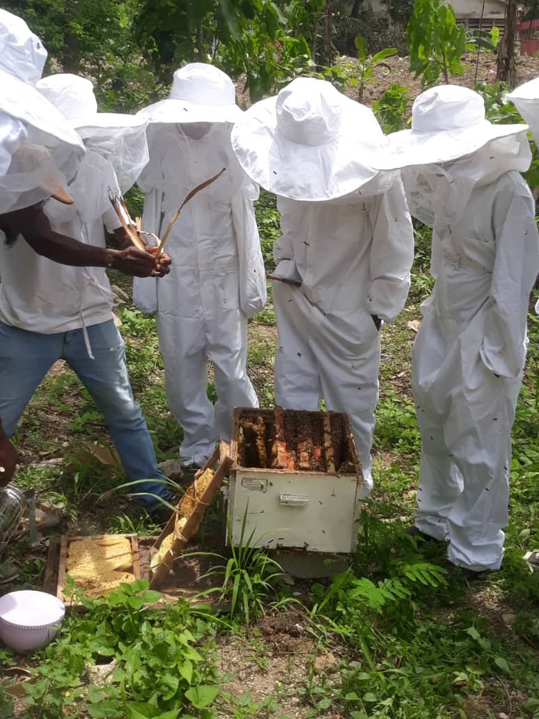 A group examining a beehive
