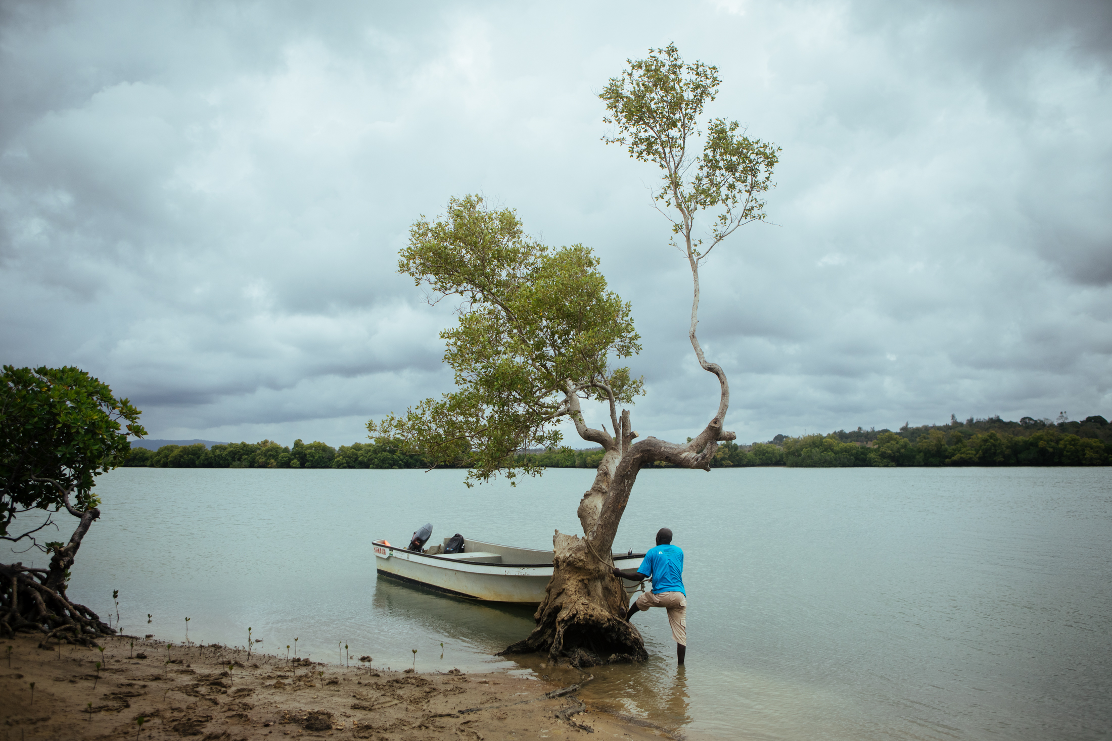 A man tying a boat to a tree
